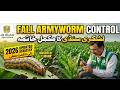 Fall Armyworm Control in Maize 2026  مکئی کی لشکری سنڈی کا حل