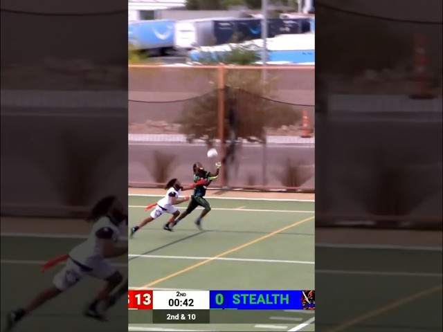 Jaeden Webb Hauls In Deep TD From Tyrese Cook As The Stealth Turn A Turnover Into Points!