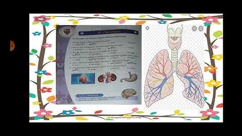 Class:5 General knowledge pg. 19,24
