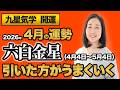 【占い】2026年4月の六白金星の運勢・九星気学【引いたほうがうまくいく】（4月5日～ 5月4日）仕事・健康・人間関係