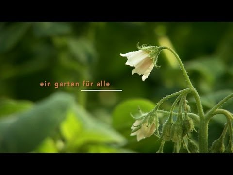 Mein erster Beitrag in einem öffentlich rechtlichen Sender. Das mit Auszug aus dem Kurs Süße Verfüh. 