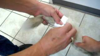 Tail Bandage that won't slip