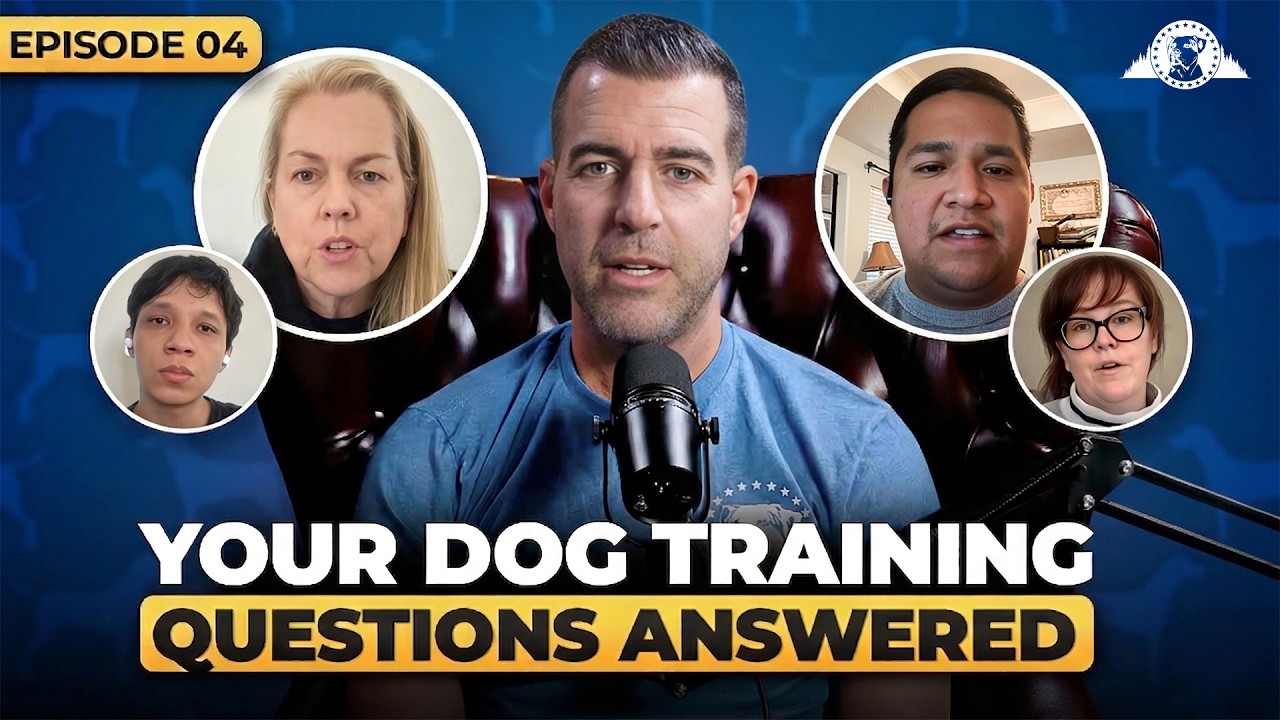 Stop Picking By Breed: The Psychology of Dog Compatibility