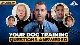 Stop Picking By Breed: The Psychology of Dog Compatibility