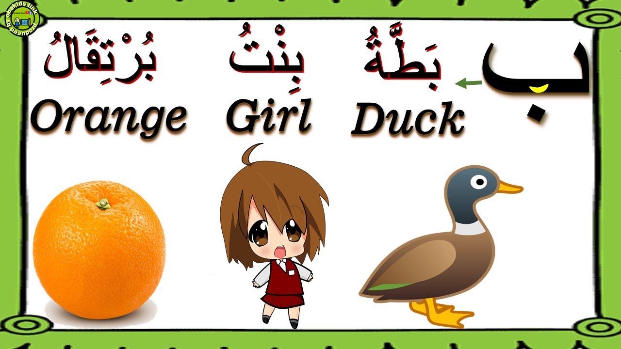 ARABIC ALPHABET WORDS AND MEANINGS START WITH BAA كلمات المبدوءة