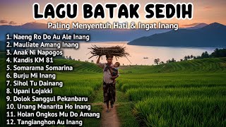 Viral! Lagu Batak Sedih yang Bikin Semua Orang Terdiam - Anak Rantau Pasti Nangis!