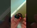 Juicey Chemistry organic lip balm ❤️🤌🏻🫶🏻✨