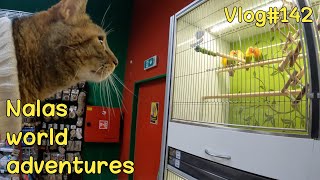 Travelling through Czech Republic 😻Vlog #142 Content