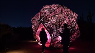 ABC15 tours Desert Botanical Garden’s new exhibit 'Light Bloom by HYBYCOZO'