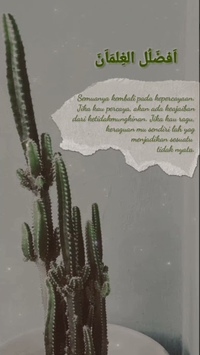 STORY WA II SHOLAWAT II YA THOYBAH II AI KHODIJAH