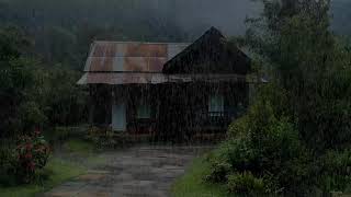 Soothing rain noise balancing spirit and supporting relaxation for deep recovery tonight
