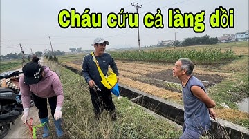 Săn Bắt Ẩm Thực Vùng Cao Làm Công Việc Mà Khiến Hàng Triệu Người Nông Dân Mừng Rơi Nước mắt 