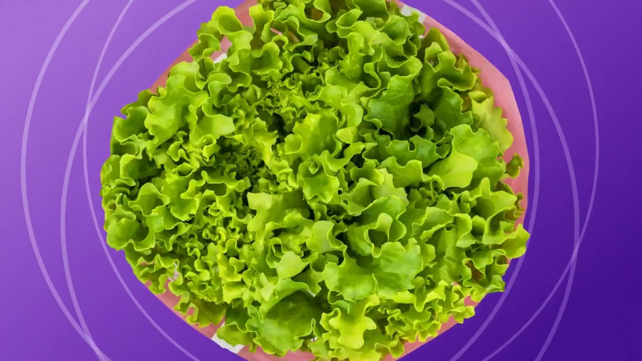 Inspired Greens - Best Salads Start - 1920x1080 15sec
