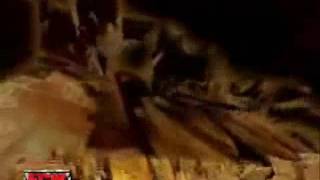Big Show 16th Titantron (2006-2007 Entrance Video)
