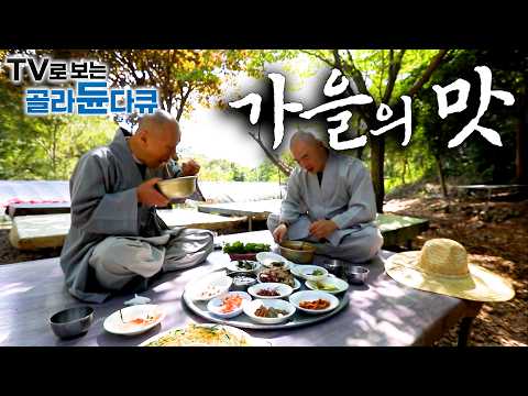 🍁가을 송이부터 3년 묵은 토종꿀까지. 천고마비의 계절, 가을 제철 재료로 차린 푸짐한 밥상🍁1시간 몰아보기｜한국기행｜#tv로보는골라듄다큐
