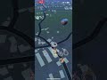 Shiny!! × 色違い!!【ポケモンGO】#shorts NO.0158