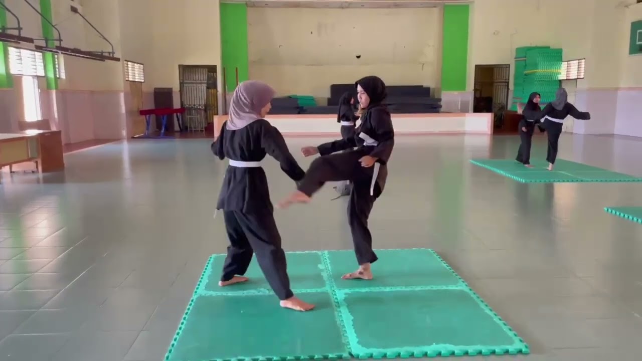Tugas pembelajaran pencak silat
