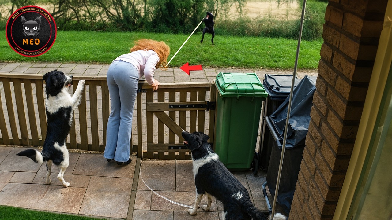 Los errores más estúpidos captados en cámara #7