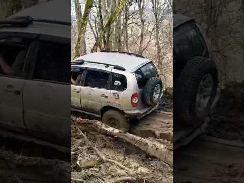 Видео: Случайно заехали на колею от трелевочника! ШевикРонин едет отлично, но это для него пока сложно!