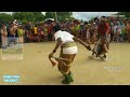 Tarian Populer di Pulau Timor