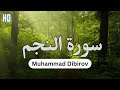 Muhammad Dibirov Surah An Najm محمد ديبيروف سورة النجم كاملة