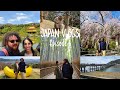 Japan Vlogs: Episode 6 | Arashiyama Bamboo Forest, Tenryu-ji, Monkey Park, & Kinkaku-ji