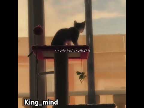خوشحالی درونی