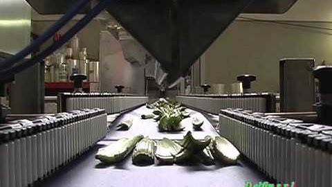 Gemini Flow Wrapper For Celery