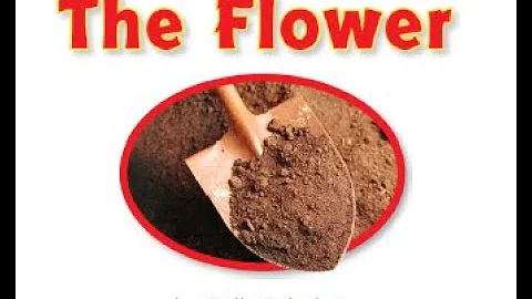The Flower by Sally Schultz