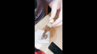 The Best Weekend, Bentley Cody, Homecoming 2019