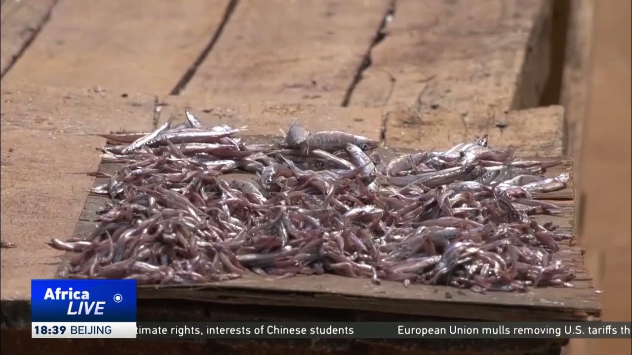 Lake Tanganyika under threat from pollution