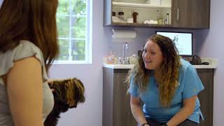Harmony Animal Hospital - From Head to Tail