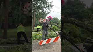 lotsa tree damage in akron crackron from the hail storm blowing thru