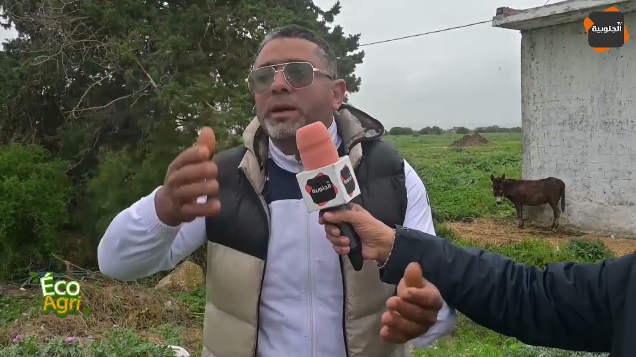 🟢فلاح من بنزرت:عندي جاري زوالي سرقولو 25 نعجة !نخدموا بالخسارة!كل 14دينار للعجل حتى يولي عمرو5 شهور!