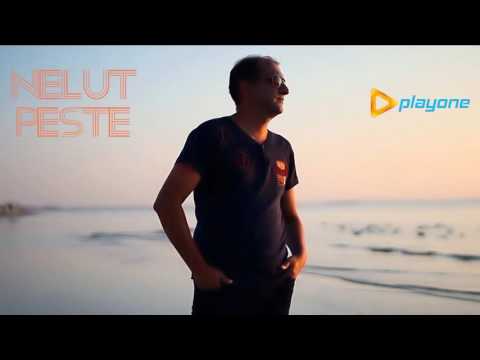 NELUT PESTE - Ingerii vorbesc (AUDIO OFICIAL 2016)