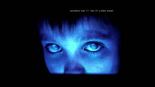 Porcupine Tree - My Ashes (Solipsis Remaster)