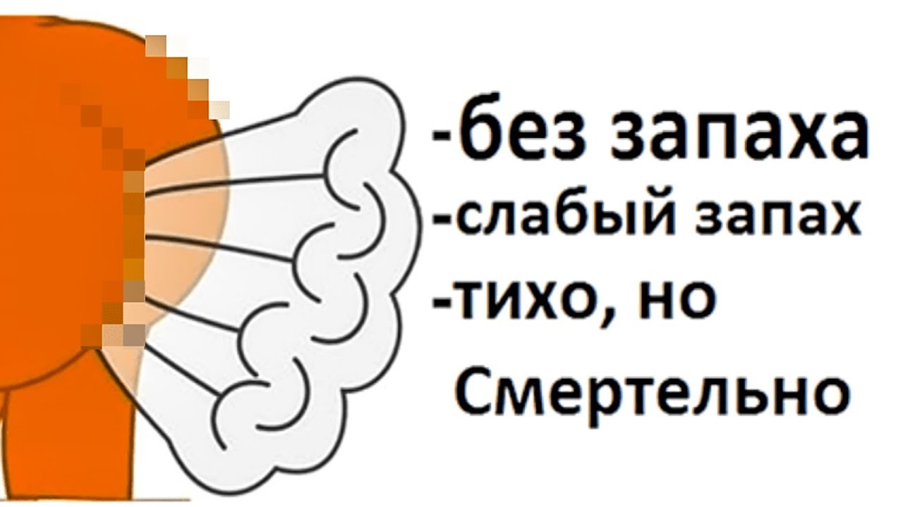 Очень воняет. Сколько человек раз пердит. Сколько в день пукать. Сколько раз в день должен пердеть человек.