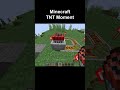 Minecraft TNT Moment