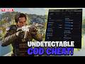 I Found The BEST BO7/WZ Cheat That CRAZY (2026)