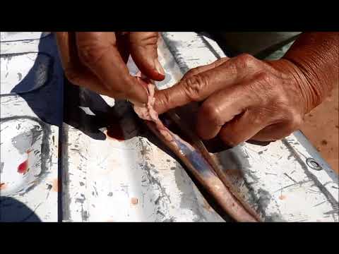 how-to-skin-a-rattlesnake