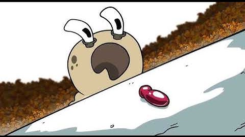 5 | Number Lore But Only When Q is On Screen