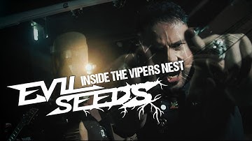 Evil Seeds - Inside the Vipers´ Nest