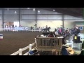 CMSA Cowboy Christmas Shootout - Lexington VA