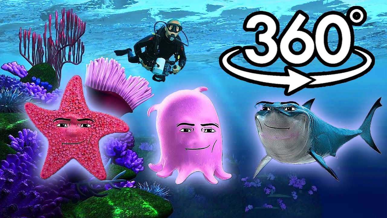 360° VR Oceanic gegagedigedagedago part 2🌊🎶 - YouTube