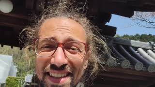 Shikoku Pilgrimage Day 39 Jell-E Vlogs