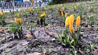 Psalm 102(103): The Lord is Compassion - Steven C. Warner