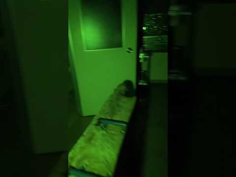 子供の頭がある廃病院