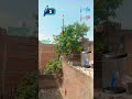 BTS funny real 🤣🤣#bts#funny#comedy #viral #shorts