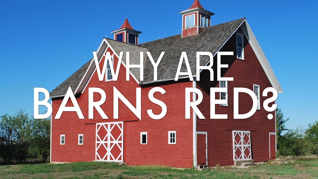 Why Are Barns Really Red Science Youtube
