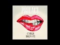 Chris Brown - Privacy (Download) 2017